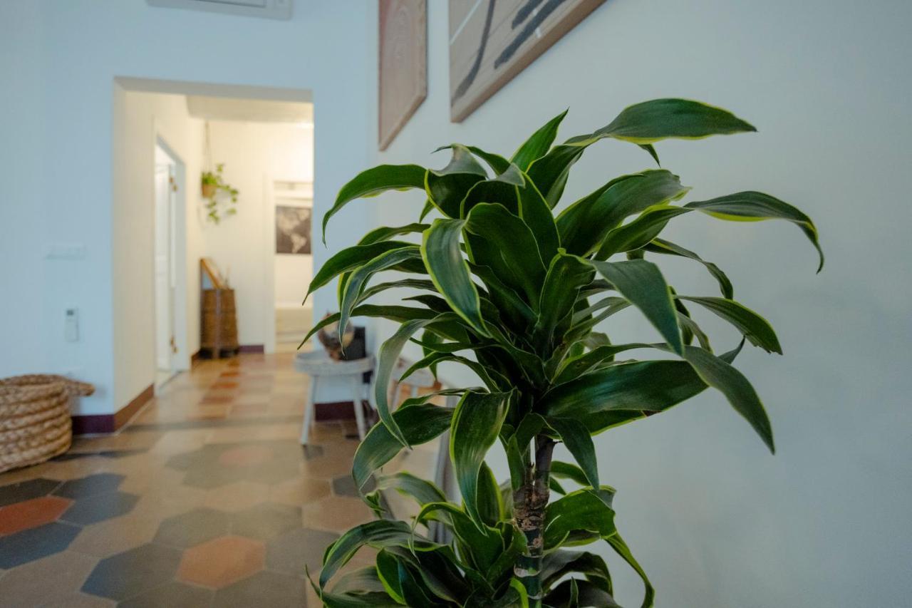 Domus Superior Navona - Pantheon Apartment Рим Екстериор снимка